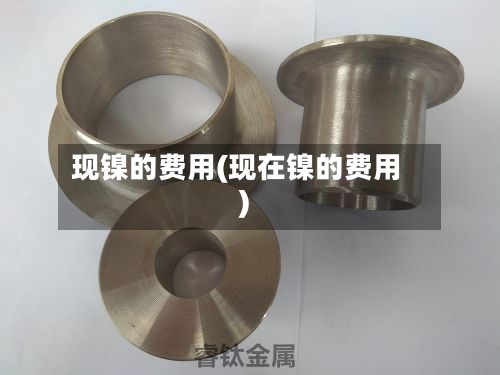 现镍的费用(现在镍的费用)