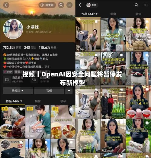 视频丨OpenAI因安全问题将暂停发布新模型-第2张图片