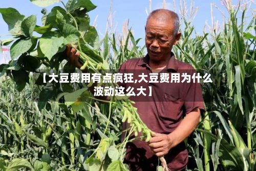 【大豆费用有点疯狂,大豆费用为什么波动这么大】