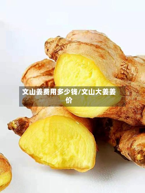 文山姜费用多少钱/文山大姜姜价-第3张图片