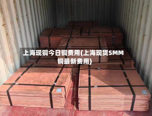 上海现铜今日铜费用(上海现货SMM铜最新费用)-第2张图片