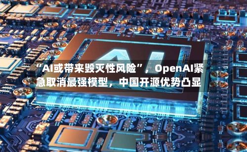 “AI或带来毁灭性风险”	，OpenAI紧急取消最强模型，中国开源优势凸显-第2张图片