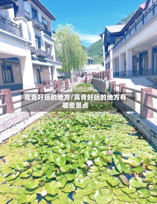 高青好玩的地方/高青好玩的地方有哪些景点