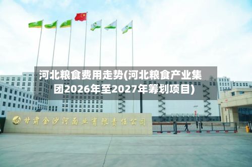 河北粮食费用走势(河北粮食产业集团2026年至2027年筹划项目)