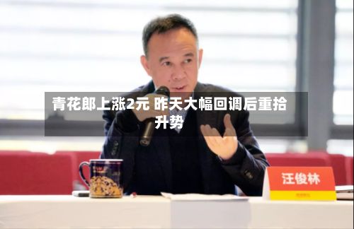 青花郎上涨2元 昨天大幅回调后重拾升势-第2张图片