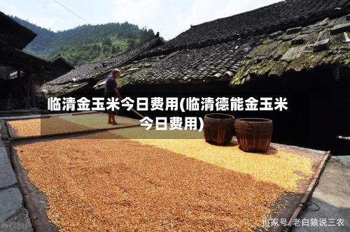 临清金玉米今日费用(临清德能金玉米今日费用)