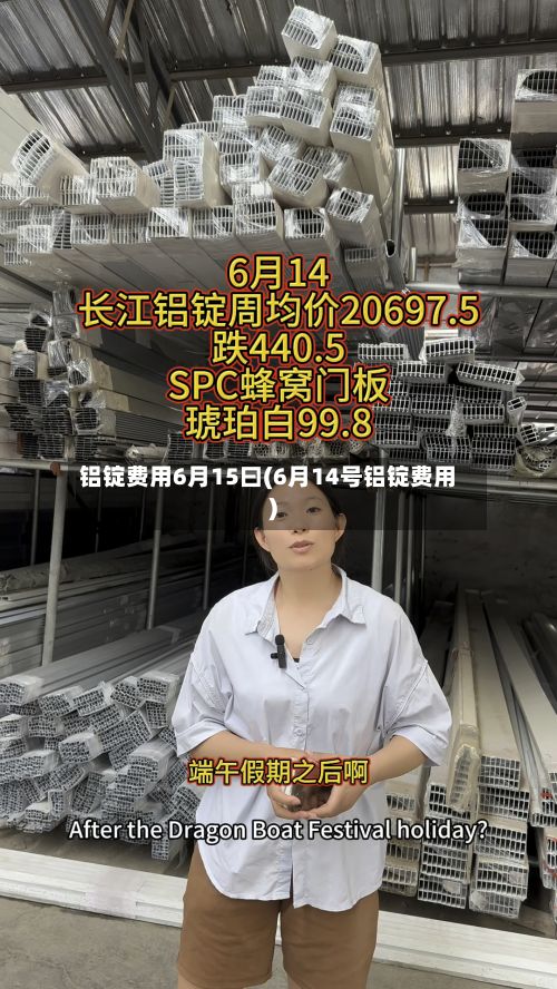 铝锭费用6月15曰(6月14号铝锭费用)-第2张图片