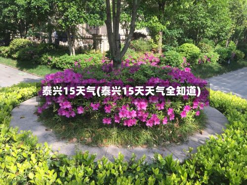 泰兴15天气(泰兴15天天气全知道)