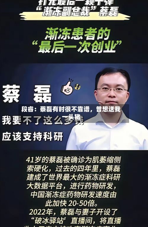 段睿：蔡磊有时很不靠谱，曾想送我一头猪-第2张图片