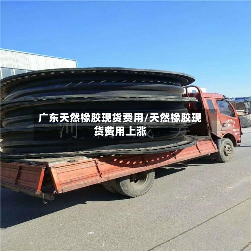 广东天然橡胶现货费用/天然橡胶现货费用上涨-第3张图片