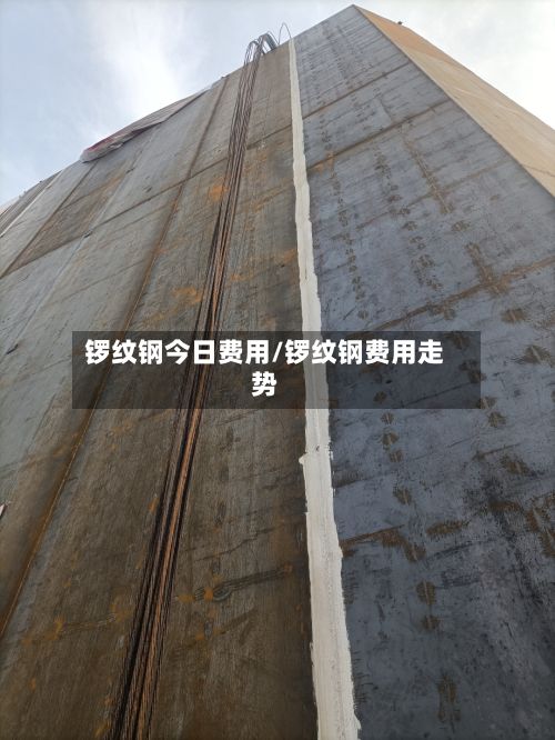 锣纹钢今日费用/锣纹钢费用走势