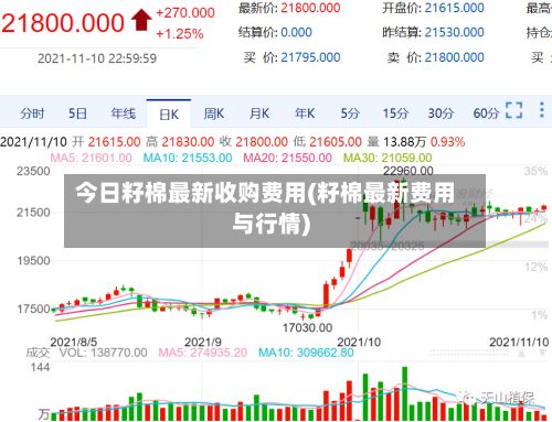 今日籽棉最新收购费用(籽棉最新费用与行情)-第3张图片