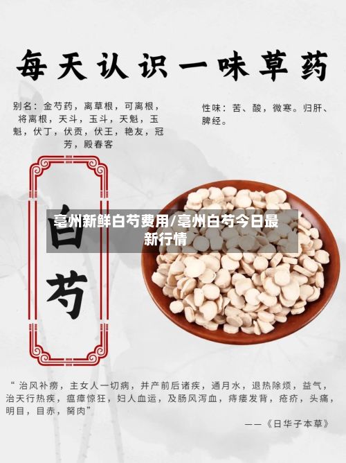 亳州新鲜白芍费用/亳州白芍今日最新行情-第3张图片