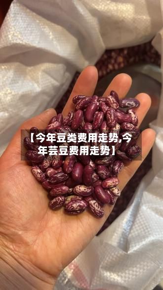 【今年豆类费用走势,今年芸豆费用走势】