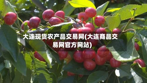 大连现货农产品交易网(大连商品交易网官方网站)-第2张图片