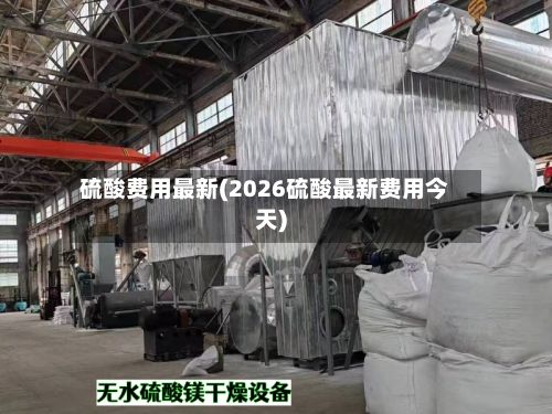 硫酸费用最新(2026硫酸最新费用今天)-第2张图片