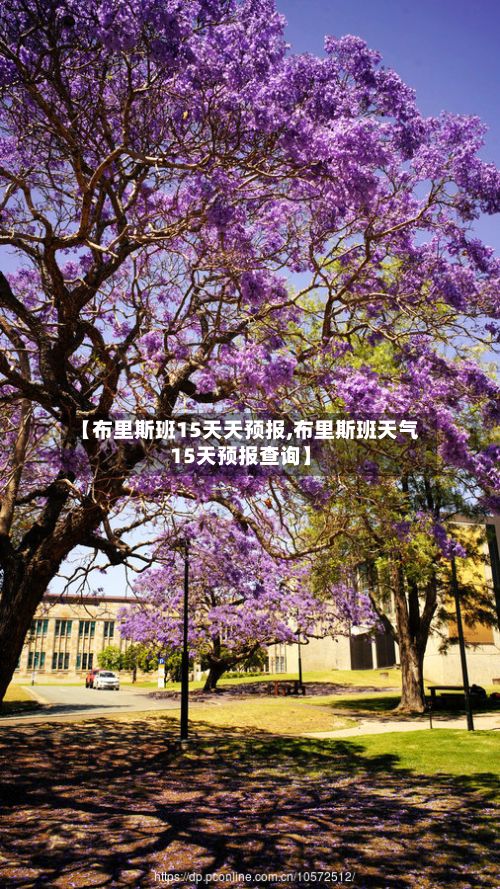 【布里斯班15天天预报,布里斯班天气15天预报查询】-第2张图片
