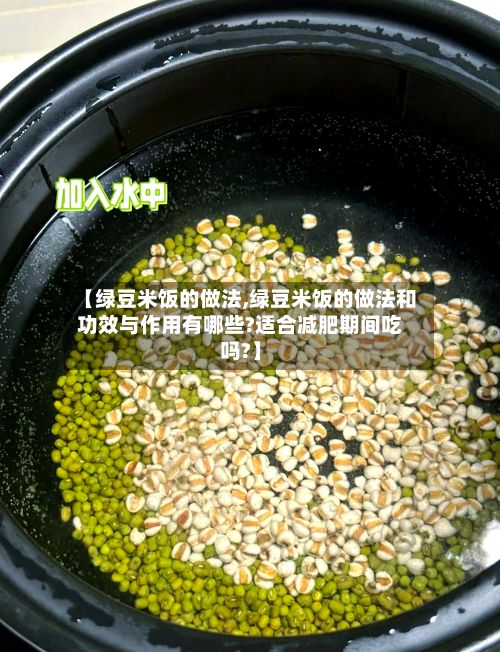 【绿豆米饭的做法,绿豆米饭的做法和功效与作用有哪些?适合减肥期间吃吗?】