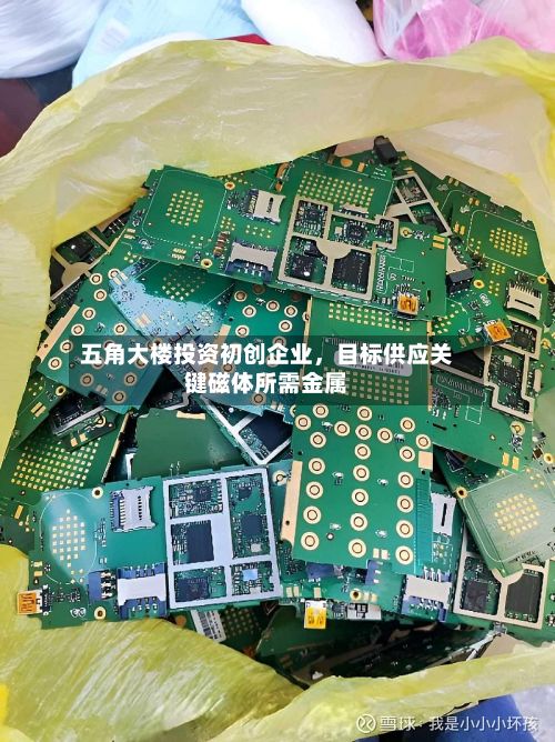 五角大楼投资初创企业	，目标供应关键磁体所需金属-第3张图片