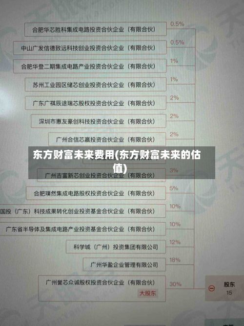 东方财富未来费用(东方财富未来的估值)