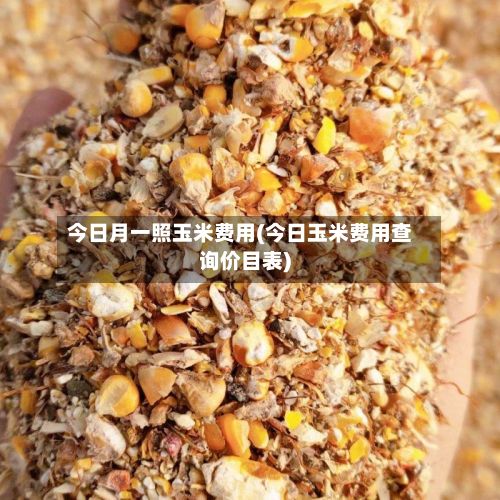 今日月一照玉米费用(今日玉米费用查询价目表)