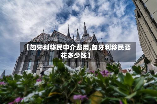 【匈牙利移民中介费用,匈牙利移民要花多少钱】