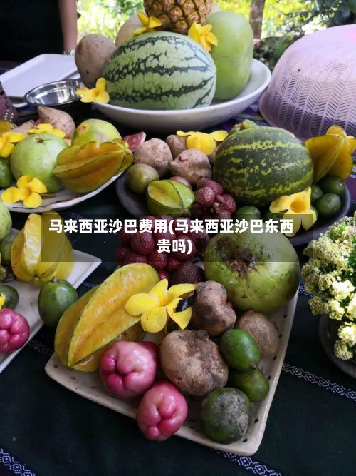 马来西亚沙巴费用(马来西亚沙巴东西贵吗)