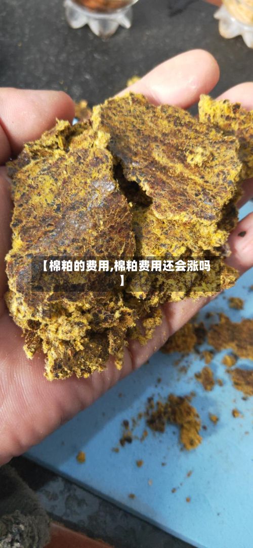 【棉粕的费用,棉粕费用还会涨吗】