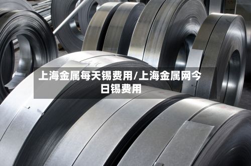 上海金属每天锡费用/上海金属网今日锡费用-第2张图片