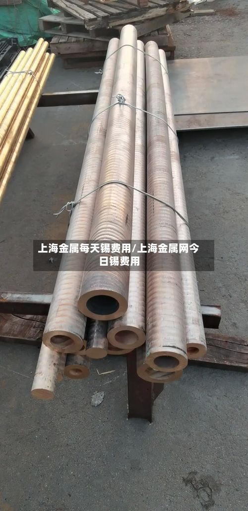 上海金属每天锡费用/上海金属网今日锡费用-第3张图片