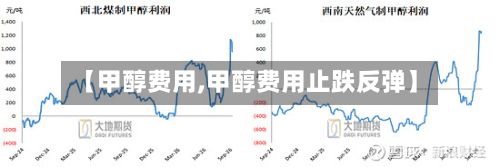 【甲醇费用,甲醇费用止跌反弹】