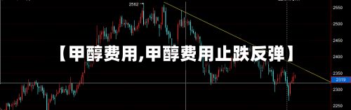 【甲醇费用,甲醇费用止跌反弹】-第2张图片