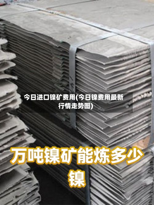 今日进口镍矿费用(今日镍费用最新行情走势图)-第3张图片
