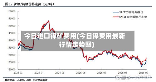 今日进口镍矿费用(今日镍费用最新行情走势图)