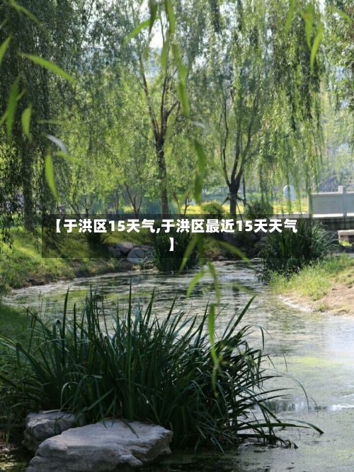 【于洪区15天气,于洪区最近15天天气】