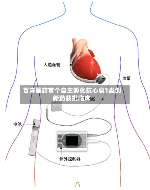 百洋医药首个自主孵化抗心衰1类创新药获批临床