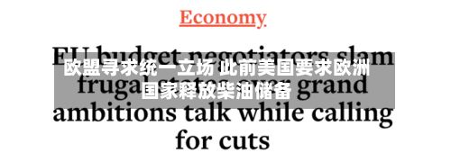 欧盟寻求统一立场 此前美国要求欧洲国家释放柴油储备