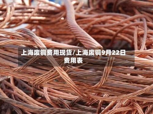 上海废铜费用现货/上海废铜9月22日费用表-第3张图片