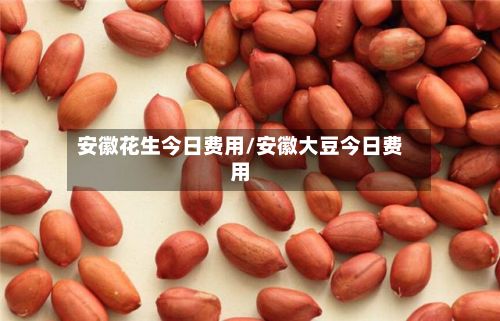 安徽花生今日费用/安徽大豆今日费用-第2张图片