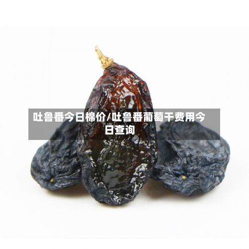 吐鲁番今日棉价/吐鲁番葡萄干费用今日查询-第2张图片