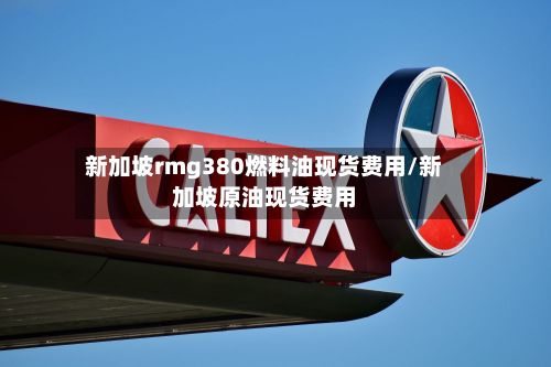 新加坡rmg380燃料油现货费用/新加坡原油现货费用-第3张图片
