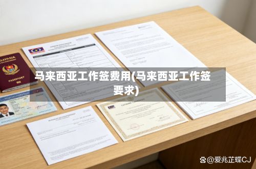 马来西亚工作签费用(马来西亚工作签要求)