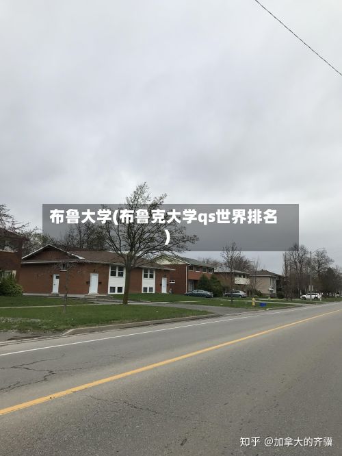 布鲁大学(布鲁克大学qs世界排名)