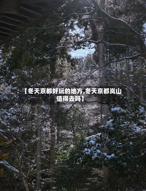 【冬天京都好玩的地方,冬天京都岚山值得去吗】-第2张图片