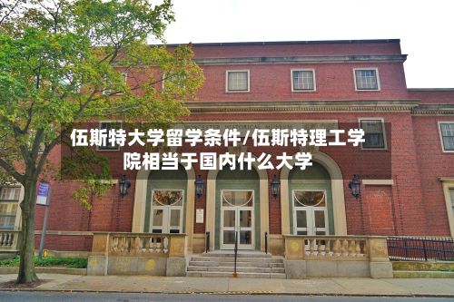 伍斯特大学留学条件/伍斯特理工学院相当于国内什么大学