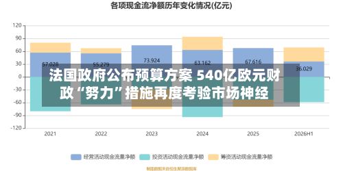 法国政府公布预算方案 540亿欧元财政“努力	”措施再度考验市场神经-第3张图片