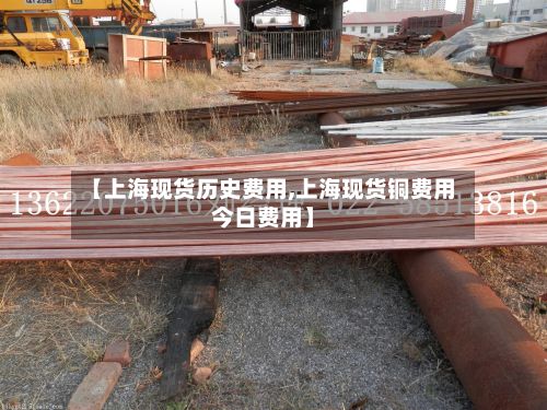 【上海现货历史费用,上海现货铜费用今日费用】