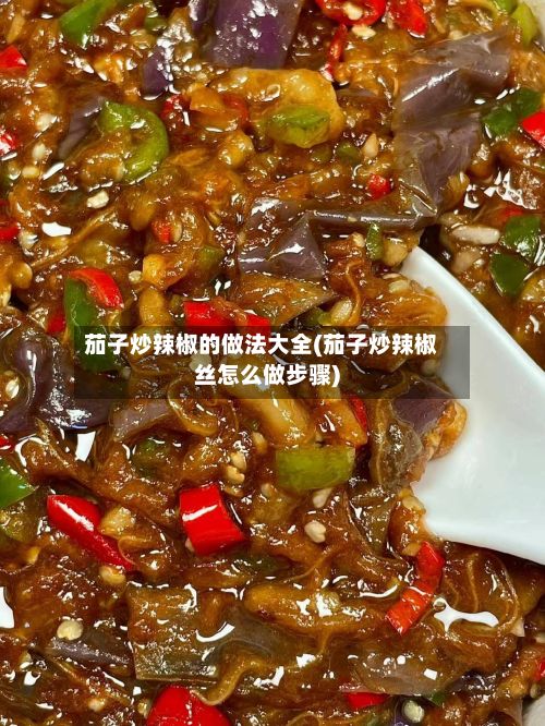 茄子炒辣椒的做法大全(茄子炒辣椒丝怎么做步骤)-第3张图片