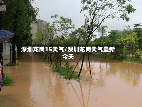 深圳龙岗15天气/深圳龙岗天气最新今天-第2张图片