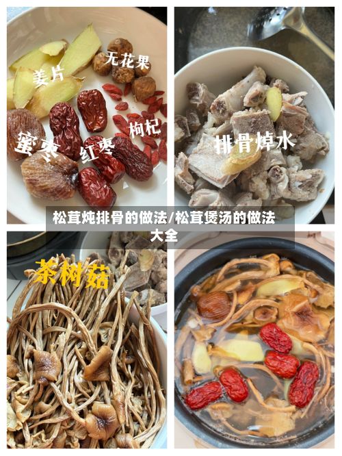 松茸炖排骨的做法/松茸煲汤的做法大全